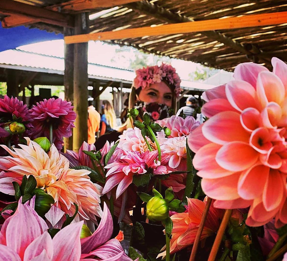 Dahlias and flower crowns at the Hermanus Country Market, a short walk from Hermanus Manor
